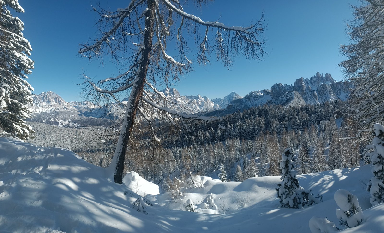 trekking cinque torri, rifugio cinque torri nel Parco Naturale delle Dolomiti d'Ampezzo