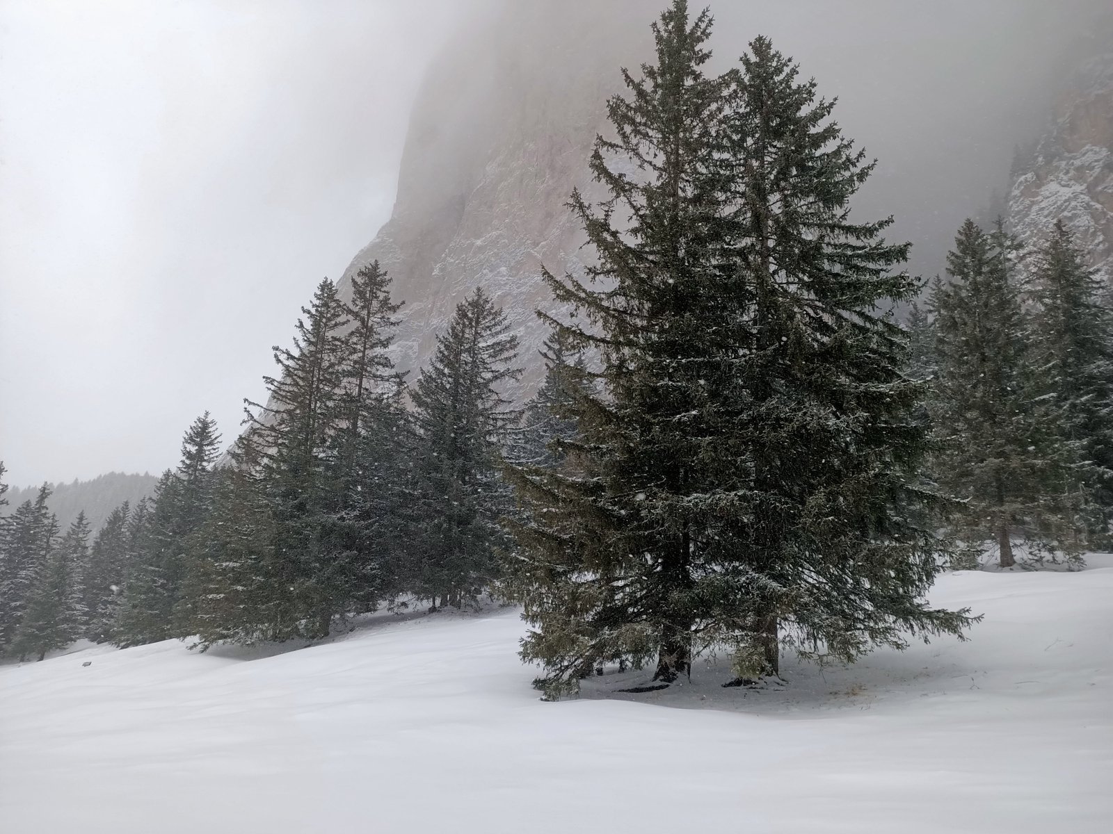 Vallunga, Langental, Dolomiti, parco naturale Puez-Odle, sentiero 14, escursione selva di val gardena