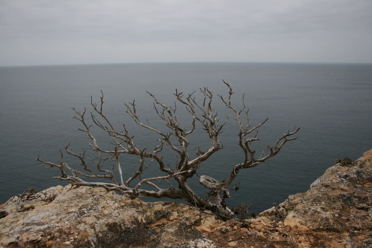 fortaleza de sagres cammino dei pescatori